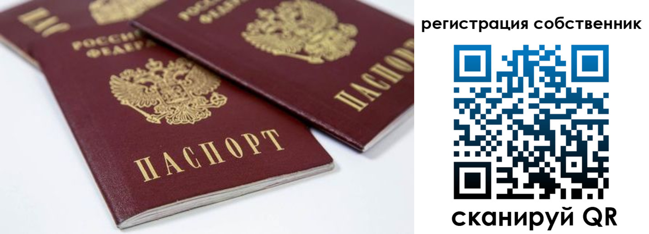 прописка для школы в Жукове